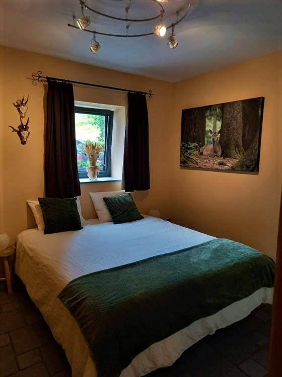 Le Clos Du Cerf - Le Sous-Bois Stoumont Buitenkant foto