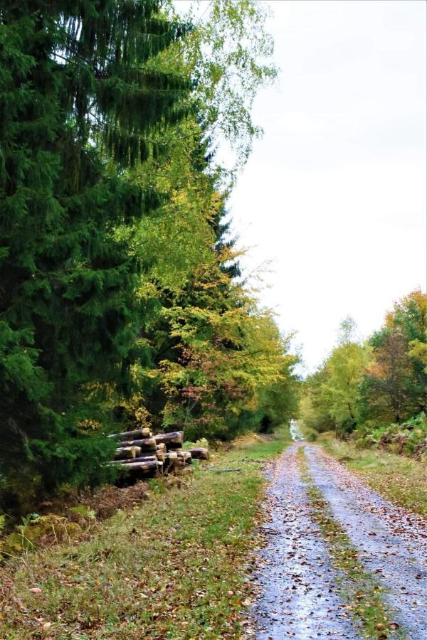Le Clos Du Cerf - Le Sous-Bois Stoumont Buitenkant foto