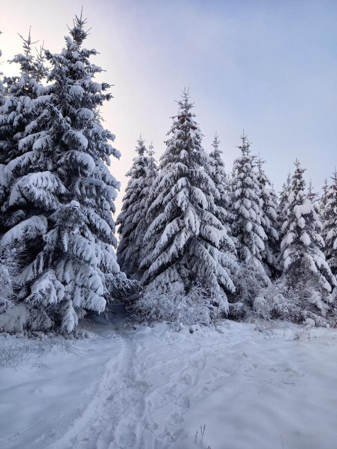Le Clos Du Cerf - Le Sous-Bois Stoumont Buitenkant foto
